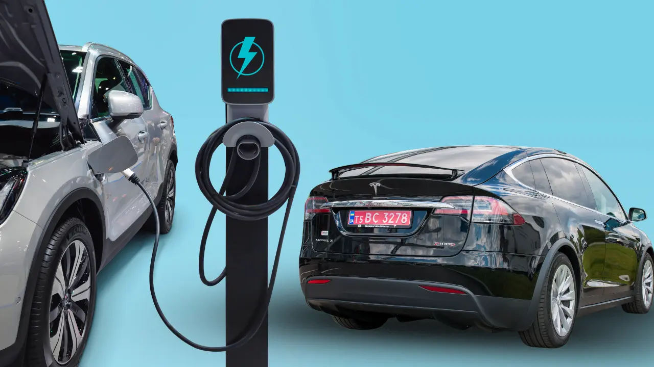 Best Charging Cable Holders for Tesla Model Y